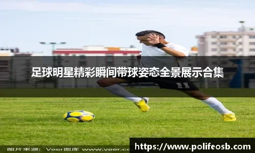 中华职棒球队新赛季筹备工作启动